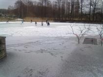 Chovné rybníky v zimě - Foto 1