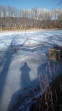 Chovné rybníky v zimě - Foto 6