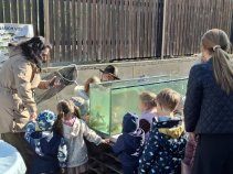 Rybí dobrodružství ve školce: Malí rybáři zkoumají Labe! - Foto 8