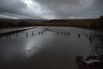 Výlov Habrovického rybníka 2025 - Foto 4