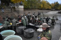 Výlov Habrovického rybníka 2025 - Foto 7