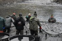 Výlov Habrovického rybníka 2025 - Foto 8