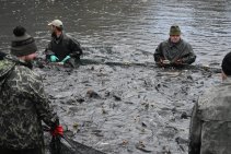 Výlov Habrovického rybníka 2025 - Foto 10