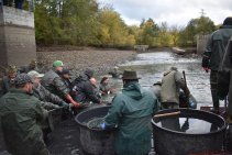 Výlov Habrovického rybníka 2025 - Foto 24