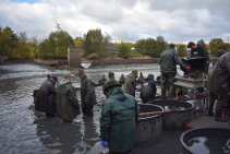 Výlov Habrovického rybníka 2025 - Foto 27