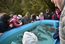 Výlov Habrovického rybníka 2025 - Foto 37