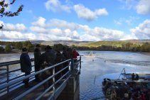 Výlov Habrovického rybníka 2025 - Foto 44