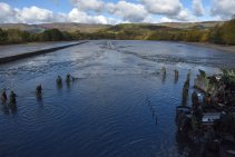 Výlov Habrovického rybníka 2025 - Foto 45