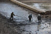 Výlov Habrovického rybníka 2025 - Foto 46