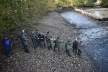 Výlov Habrovického rybníka 2025 - Foto 47