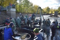 Výlov Habrovického rybníka 2025 - Foto 52