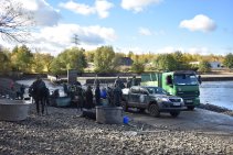 Výlov Habrovického rybníka 2025 - Foto 53