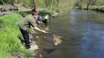 Vypouštění ryb do řeky Bíliny - Foto 9